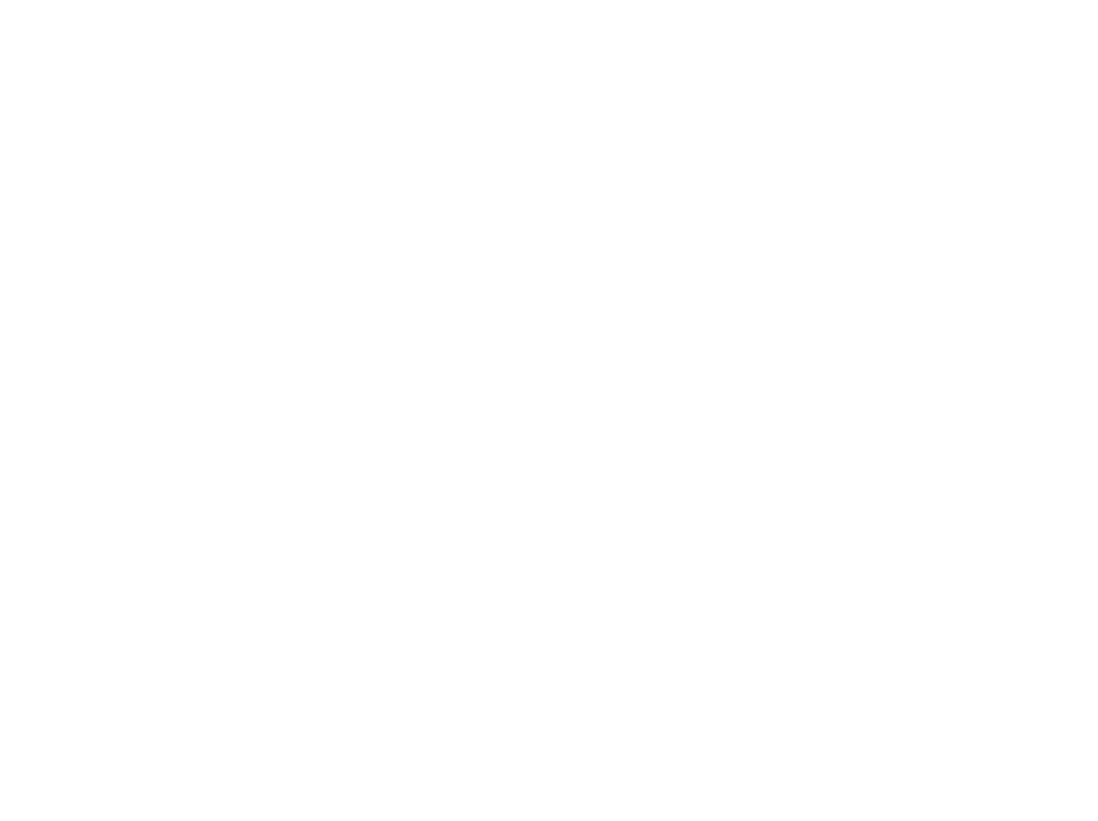 Surdaisy | logo | Suntory Flowers Europe