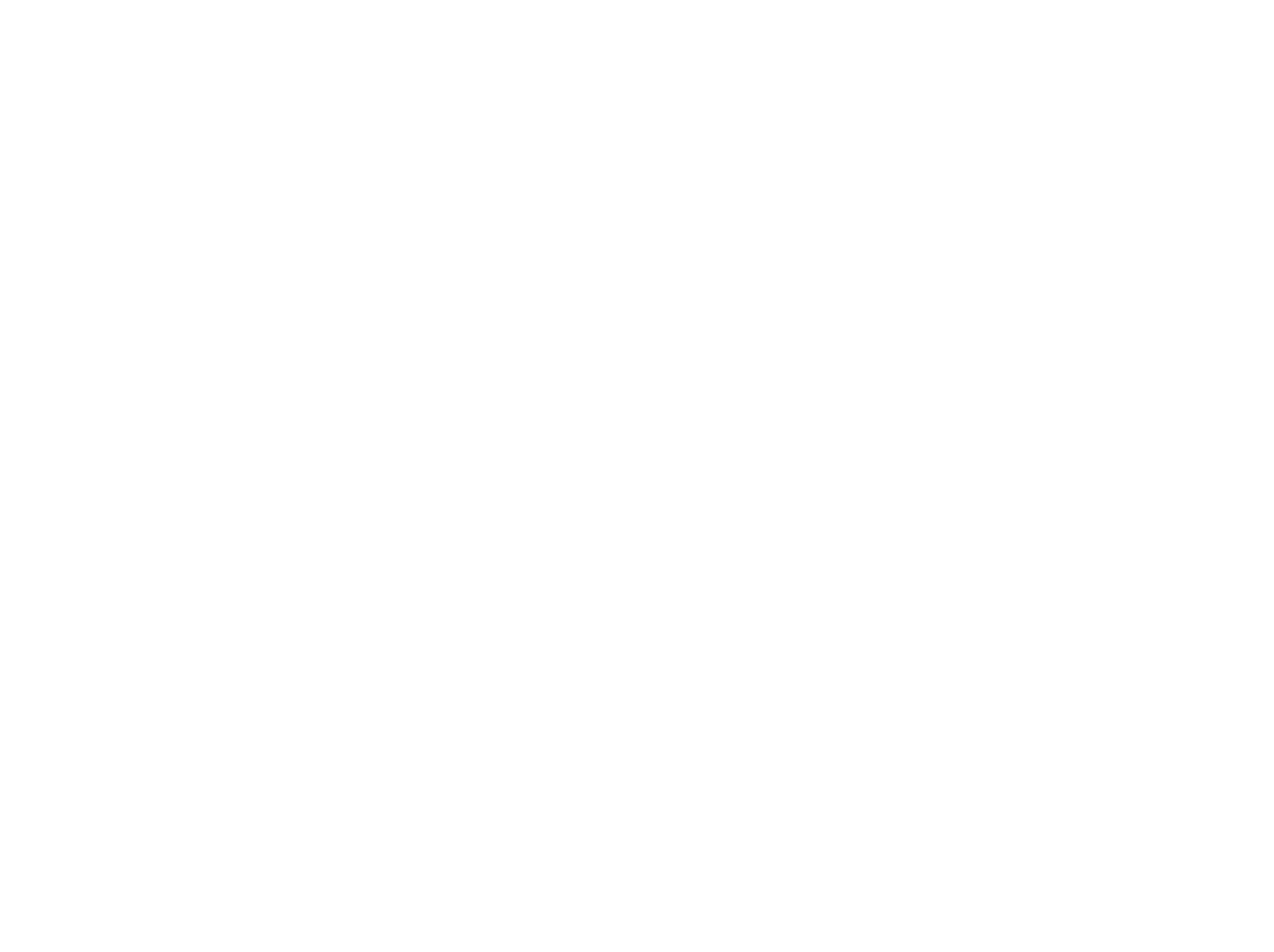 Temari | logo | Suntory Flowers Europe