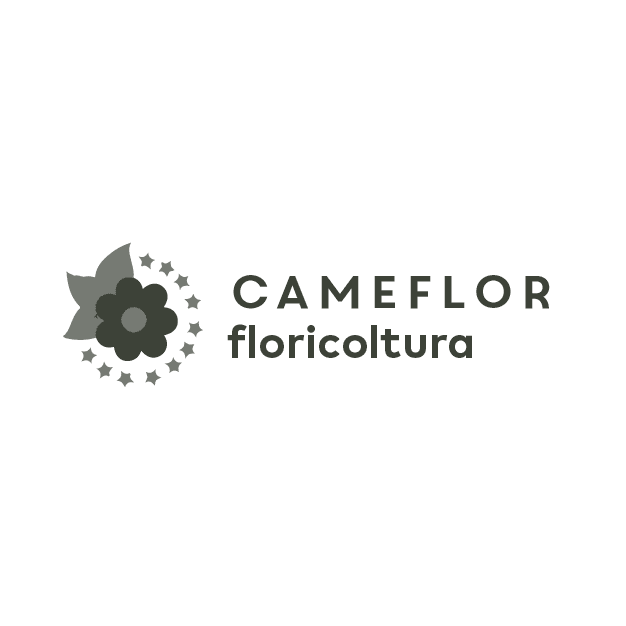 Cameflor Soc. Agr. Semplice (finished plants) ,