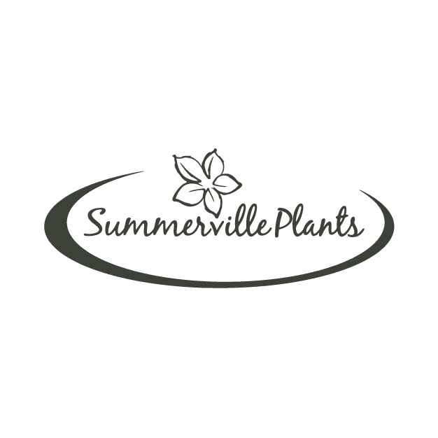 Summerville Plants (finished plants) ,