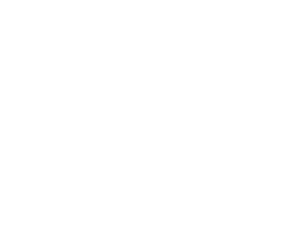 Soiree® official logo registered trademark