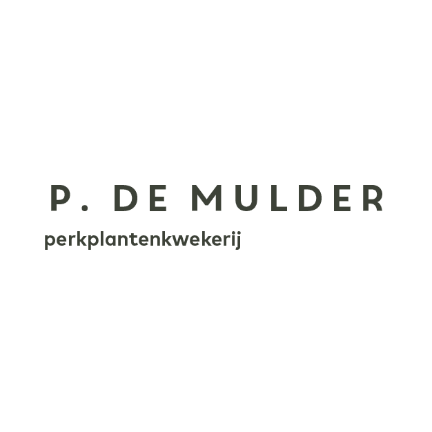 MTS de Mulder-Steegh / P. de Mulder (finished plants) ,