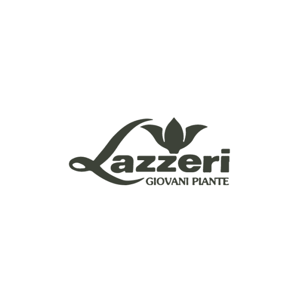 Lazzeri SARL ,