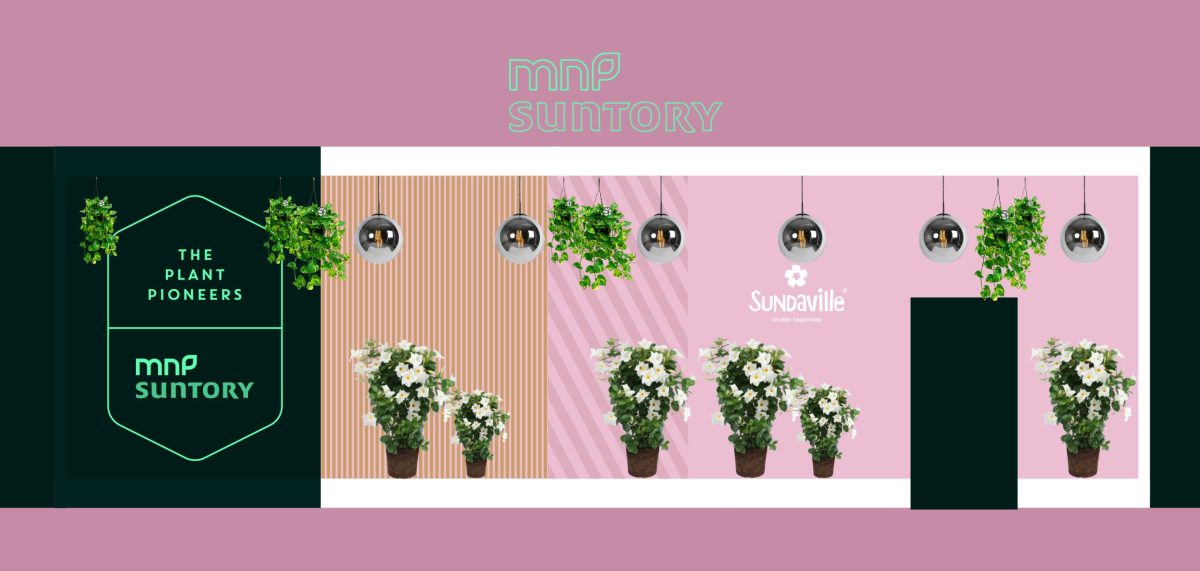 IPM 2023 - Suntory Flowers Europe - Hall 1, C33