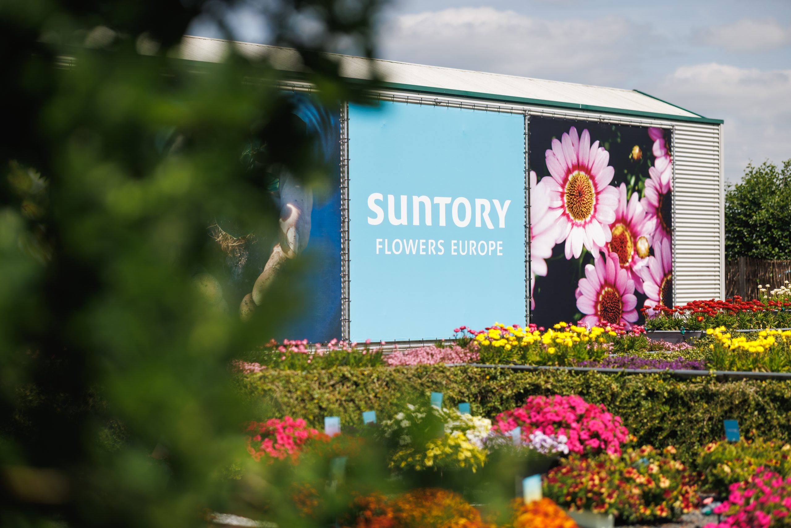 Suntory Flowers Europe logo on a building with colourful garden